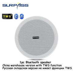 6 Inch Audience Ceiling Bluetooth Speaker 3D Stereo10W Indoor Marine Speakers Home Theater for Bathroom Kitchen Outdoor Camper