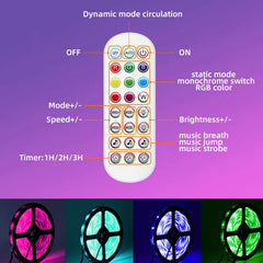 LED Lights With Smart WIFI